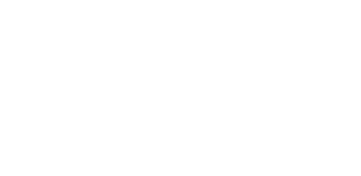 Bizup Management Consulting